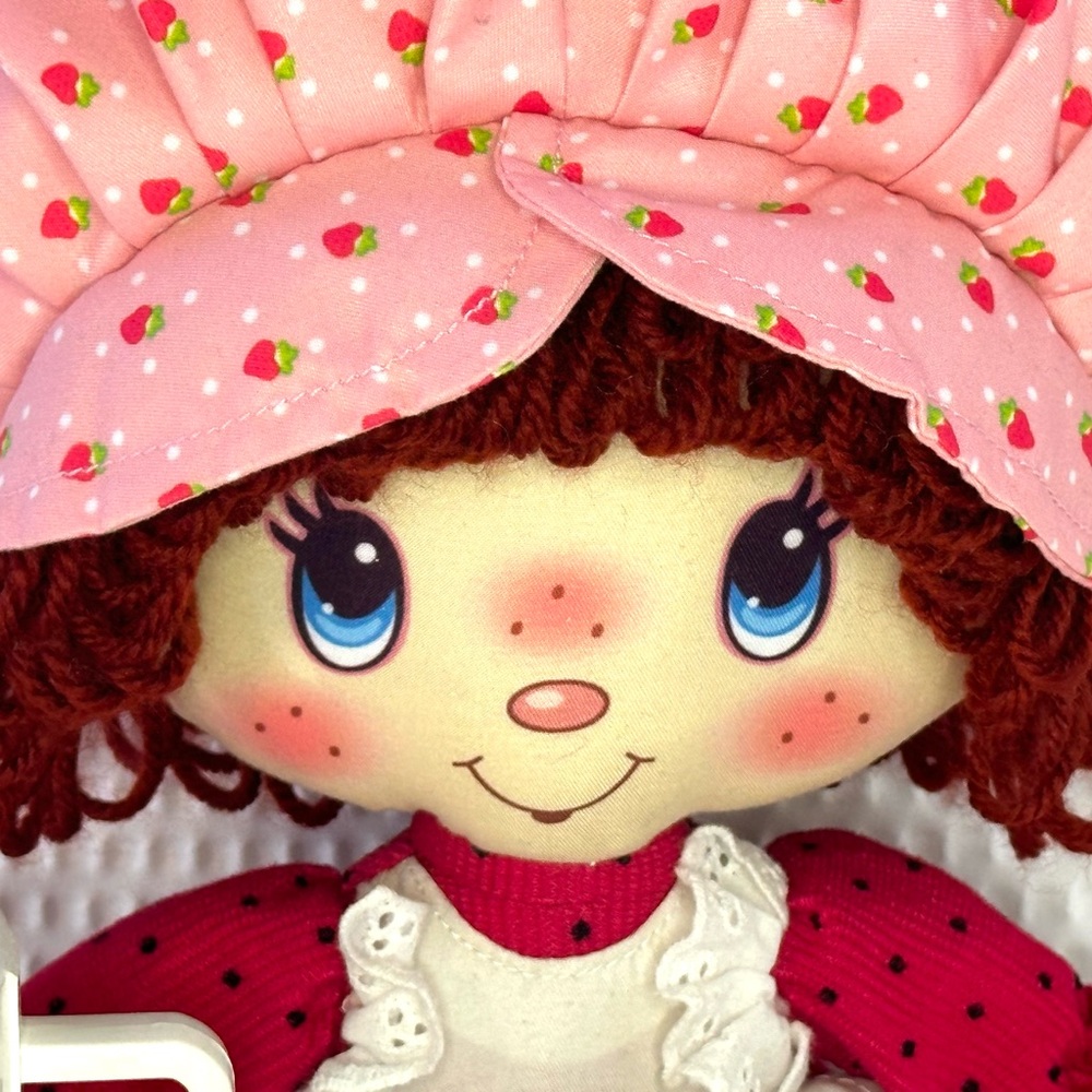 Strawberry Shortcake Bundle - Picture 2 of 6
